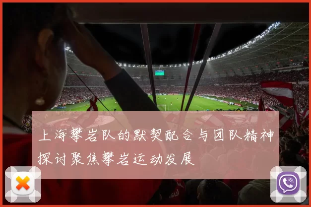 上海攀岩队的默契配合与团队精神探讨聚焦攀岩运动发展