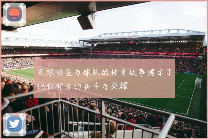 足球明星与球队的传奇故事揭示了他们背后的奋斗与荣耀