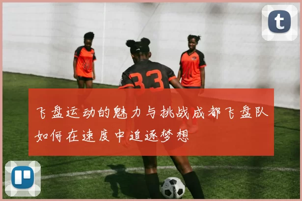 飞盘运动的魅力与挑战成都飞盘队如何在速度中追逐梦想