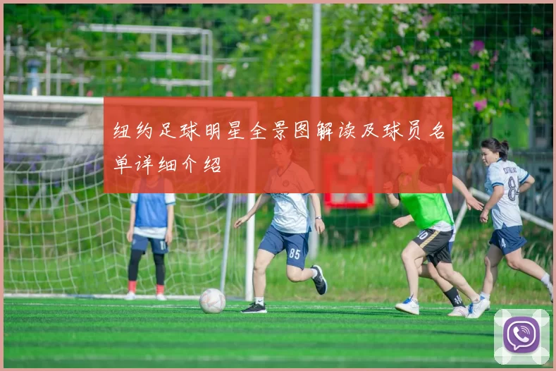 纽约足球明星全景图解读及球员名单详细介绍