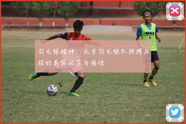 羽毛球精神：北京羽毛球队拼搏历程的真实记录与感悟