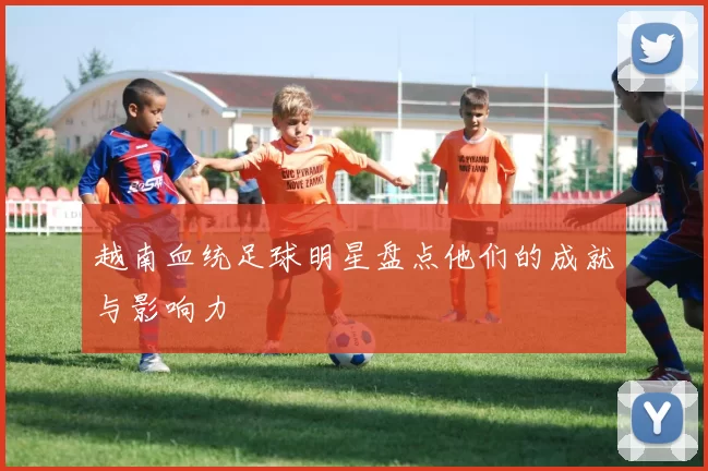 越南血统足球明星盘点他们的成就与影响力