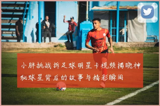 小胖挑战拆足球明星卡视频揭晓神秘球星背后的故事与精彩瞬间