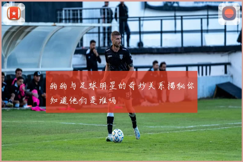 狗狗与足球明星的奇妙关系揭秘你知道他们是谁吗
