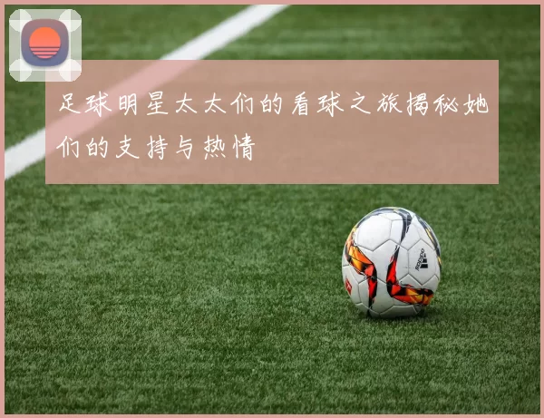 足球明星太太们的看球之旅揭秘她们的支持与热情