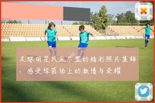 足球明星风采尽显的精彩照片集锦，感受绿茵场上的激情与荣耀