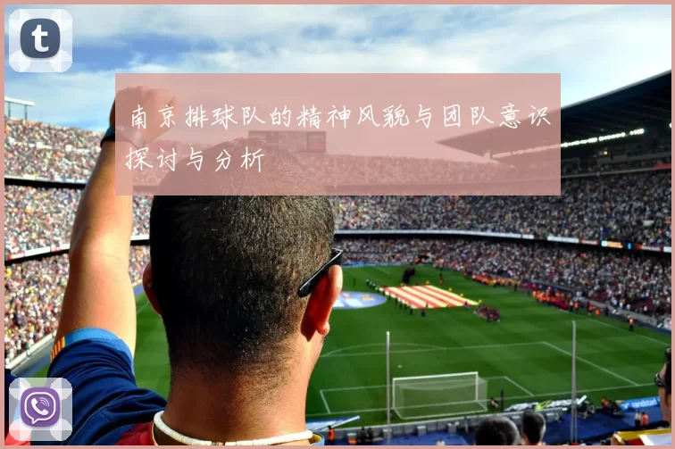 南京排球队的精神风貌与团队意识探讨与分析
