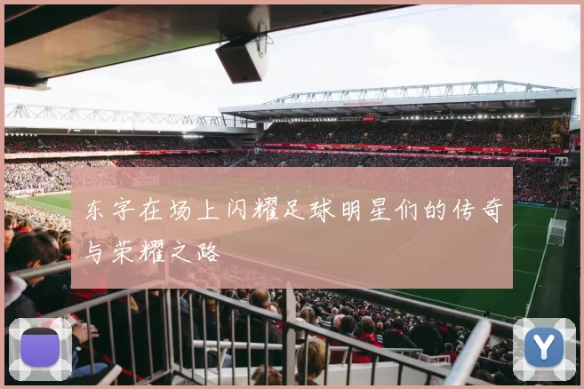 东字在场上闪耀足球明星们的传奇与荣耀之路