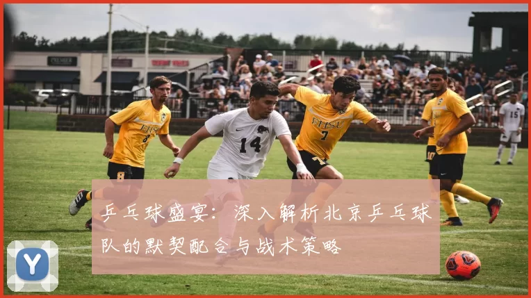 乒乓球盛宴：深入解析北京乒乓球队的默契配合与战术策略