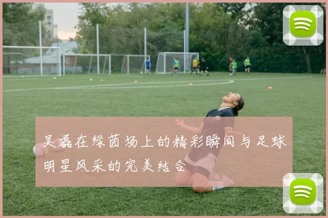吴磊在绿茵场上的精彩瞬间与足球明星风采的完美结合