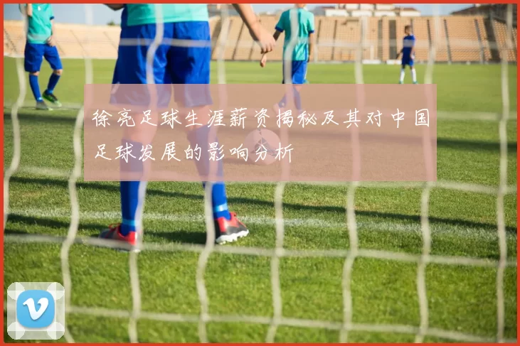 徐亮足球生涯薪资揭秘及其对中国足球发展的影响分析